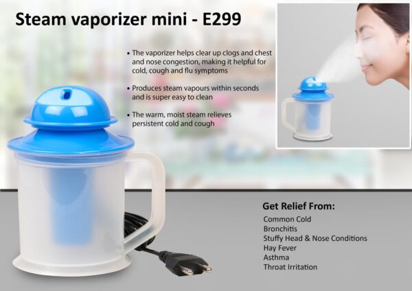 E299 - Steam vaporizer mini