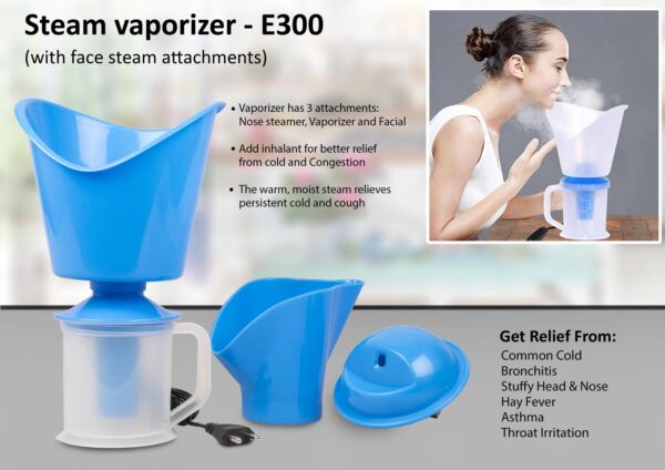 E300 - Steam vaporizer with face steam attachments