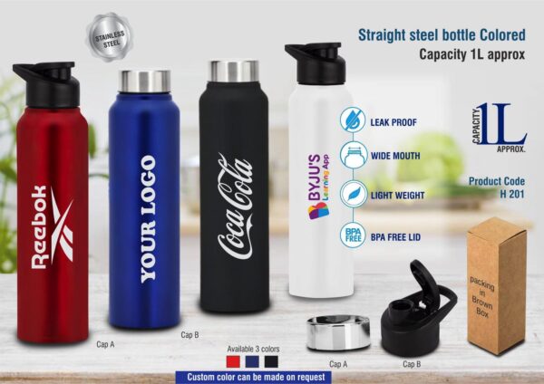 H201 - Straight steel single wall bottle Colored | Capacity 1L approx