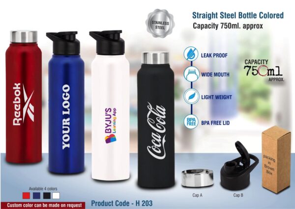 H203 - Straight steel single wall bottle Colored | Capacity 750ml approx