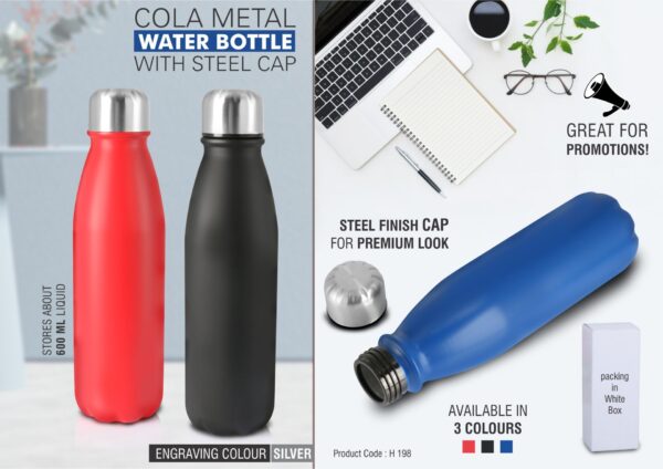 H198 - Cola Metal water bottle with steel cap (600 ml approx)